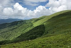 119_iP_200619_IMG_1235