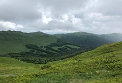 132_iP_200619_IMG_1242