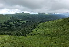 259_iP_200619_IMG_1291