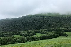 311_iP_200619_IMG_1319