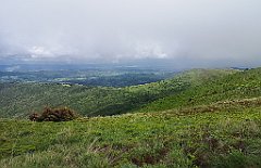 367_p20_IMG_20200619_151058