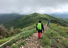 489_iP_200619_IMG_1342