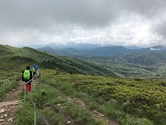 491_iP_200619_IMG_1344