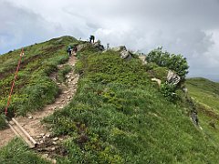 533_iP_200619_IMG_1356