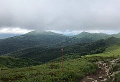 636_iP_200619_IMG_1386