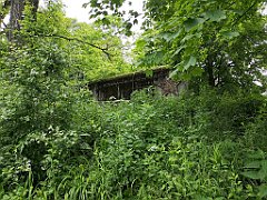 272_p20_IMG_20200620_131702