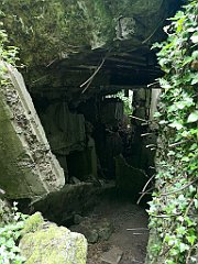 286_p20_IMG_20200620_132011