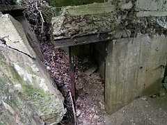 299_p20_IMG_20200620_132215