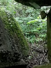 320_p20_IMG_20200620_132656