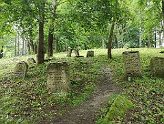 372_p20_IMG_20200620_140516