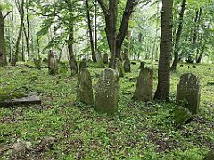 385_p20_IMG_20200620_140912