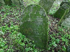 413_p20_IMG_20200620_141731