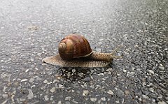 062_p20_IMG_20200621_103514