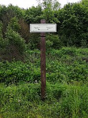 143_p20_IMG_20200621_111115