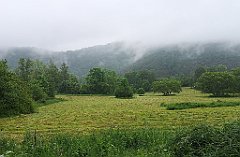 174_p20_IMG_20200621_120905