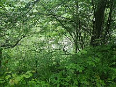 206_p20_IMG_20200621_125127