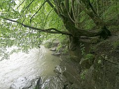 282_p20_IMG_20200621_134859