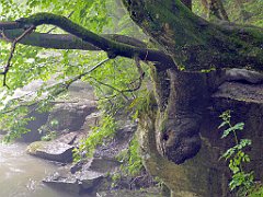 289_p20_IMG_20200621_134935