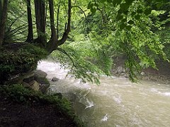 291_p20_IMG_20200621_134954