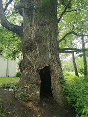 424_p20_IMG_20200621_152403