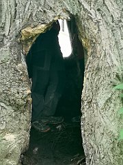 426_p20_IMG_20200621_152419