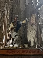 450_p20_IMG_20200621_153123