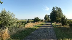 021_iP_200719_IMG_1479