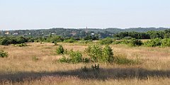 045_IMG_x57481