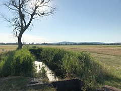 079_iP_200719_IMG_1498