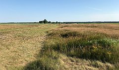 081_iP_200719_IMG_1499