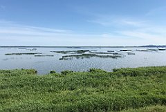 243_iP_200719_IMG_1566