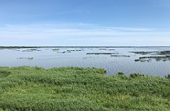 244_iP_200719_IMG_1567