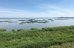 245_iP_200719_IMG_1568