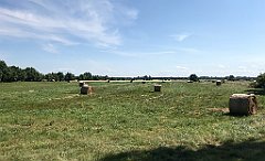 327_iP_200813_IMG_1667