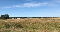 351_iP_200813_IMG_1671