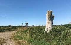 408_iP_200813_IMG_1692