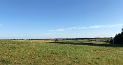 460_iP_200813_IMG_1704