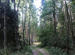 028_iP_200819_IMG_1715