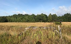 061_iP_200819_IMG_1722