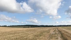 134_iP_200819_IMG_1745