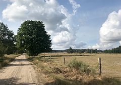 195_iP_200819_IMG_1755