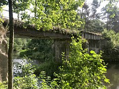 215_iP_200819_IMG_1759