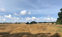 300_iP_200819_IMG_1789