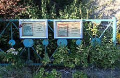 474_iP_200819_IMG_1856