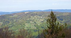 2020_05_21_Medralowa_Beskidek