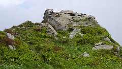 2020_06_19_Tarnica