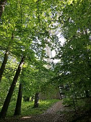 012_p20_IMG_20210530_082301