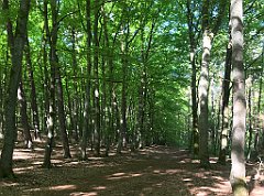 038_iP_210530_IMG_2364