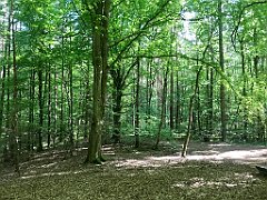 039_iP_210530_IMG_2365