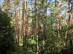 045_iP_210530_IMG_2369